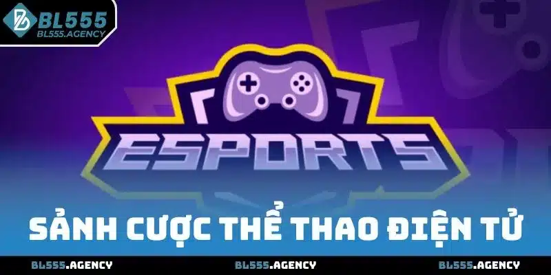 Những sảnh cược thể thao điện tử tại BL555