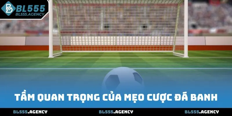 Tầm quan trọng của mẹo cá cược bóng đá